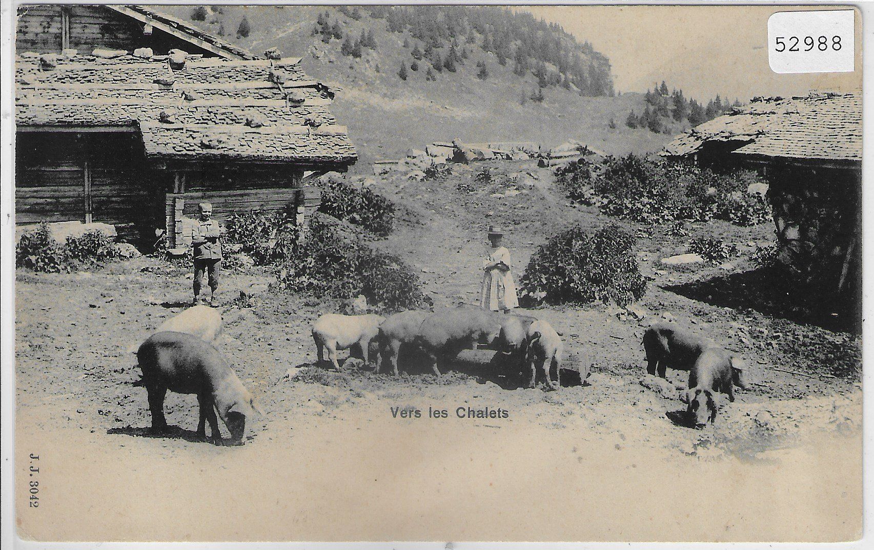Cartes postales: Vers les Chalets - Schweine - animee – D'occasion à Ettingen par Kartenplanet