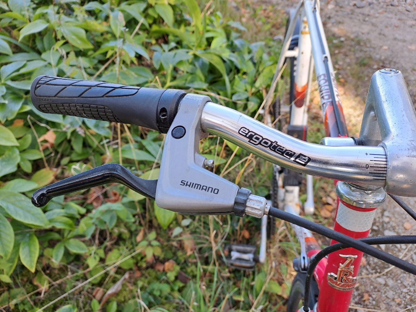 Raleigh Biciclette: Raleigh Equipe Rennvelo / vélo de course – Usato da Münchenwiler venduto da Martin_Riedi 2