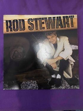 Dischi in vinile: Rod Stewart – Usato da Niederuzwil venduto da gullipulli