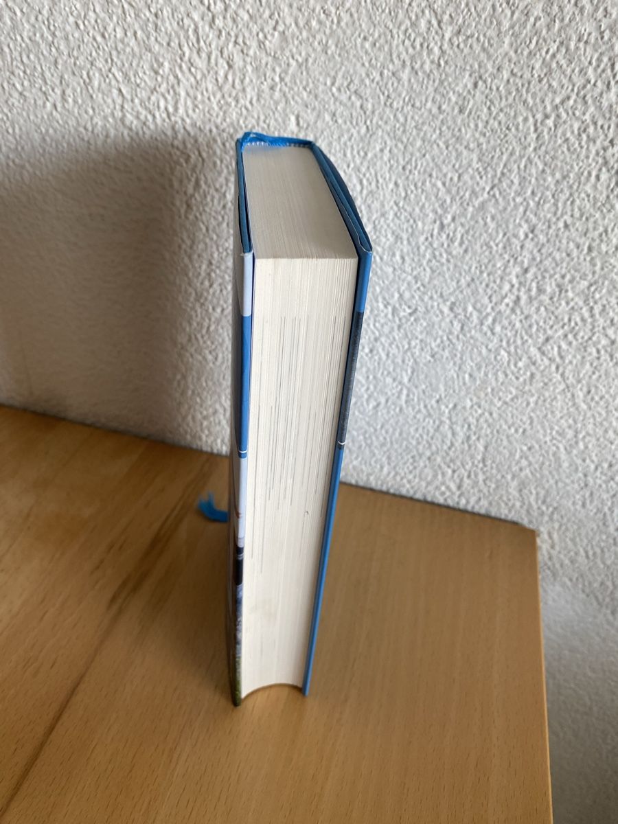 Bücher: Ich bin dann mal weg - Hape Kerkeling – Gebraucht aus Schwarzenburg von Michellu 3