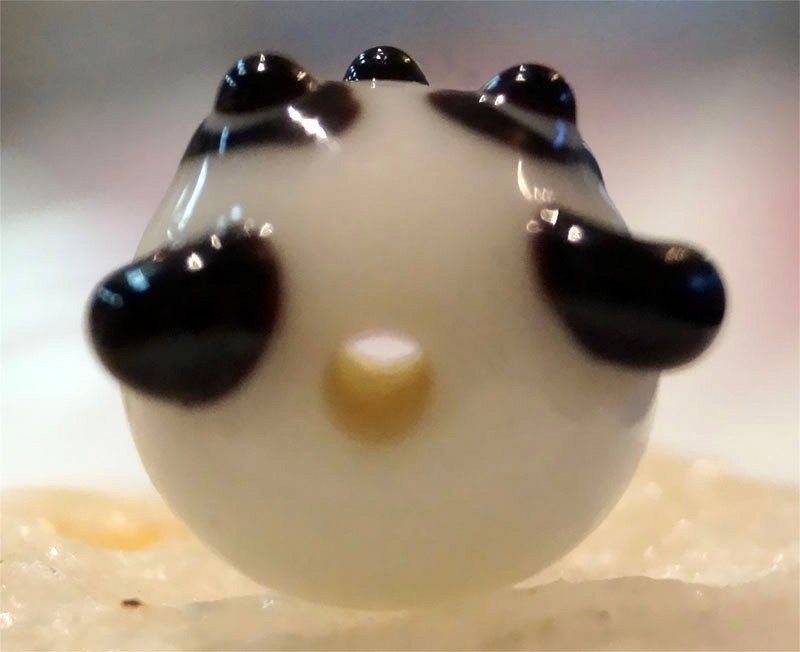 Perle (finte): Panda Glasperle, Glass Bead – Nuovo (secondo la descrizione) da Langenthal venduto da flowersNbirds 1