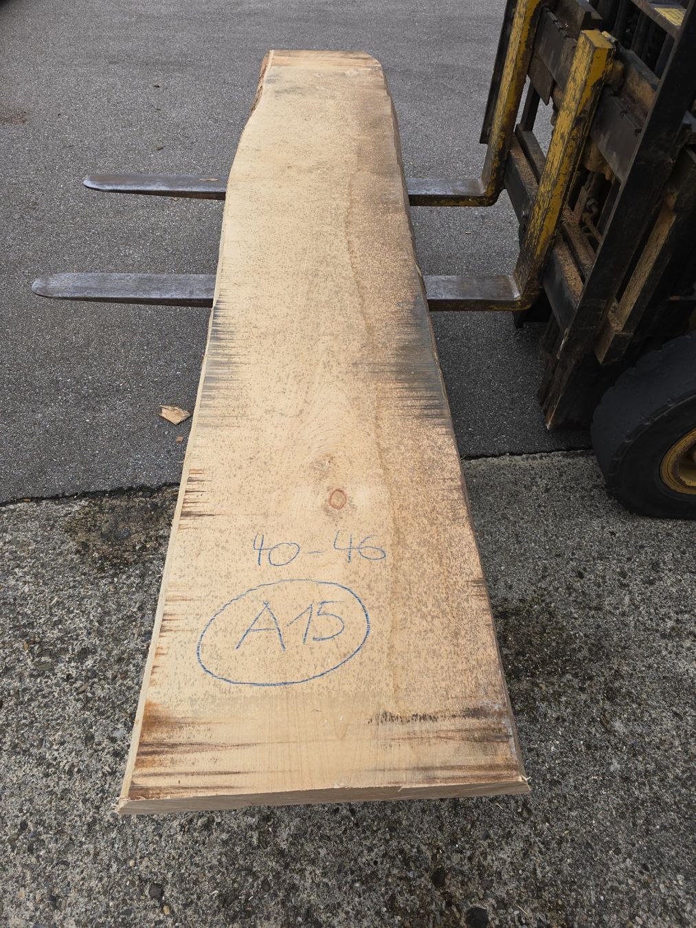 Articoli in legno: Ahornbrett Nr. A15 – Nuovo (secondo la descrizione) da Ramsei venduto da Waelchris