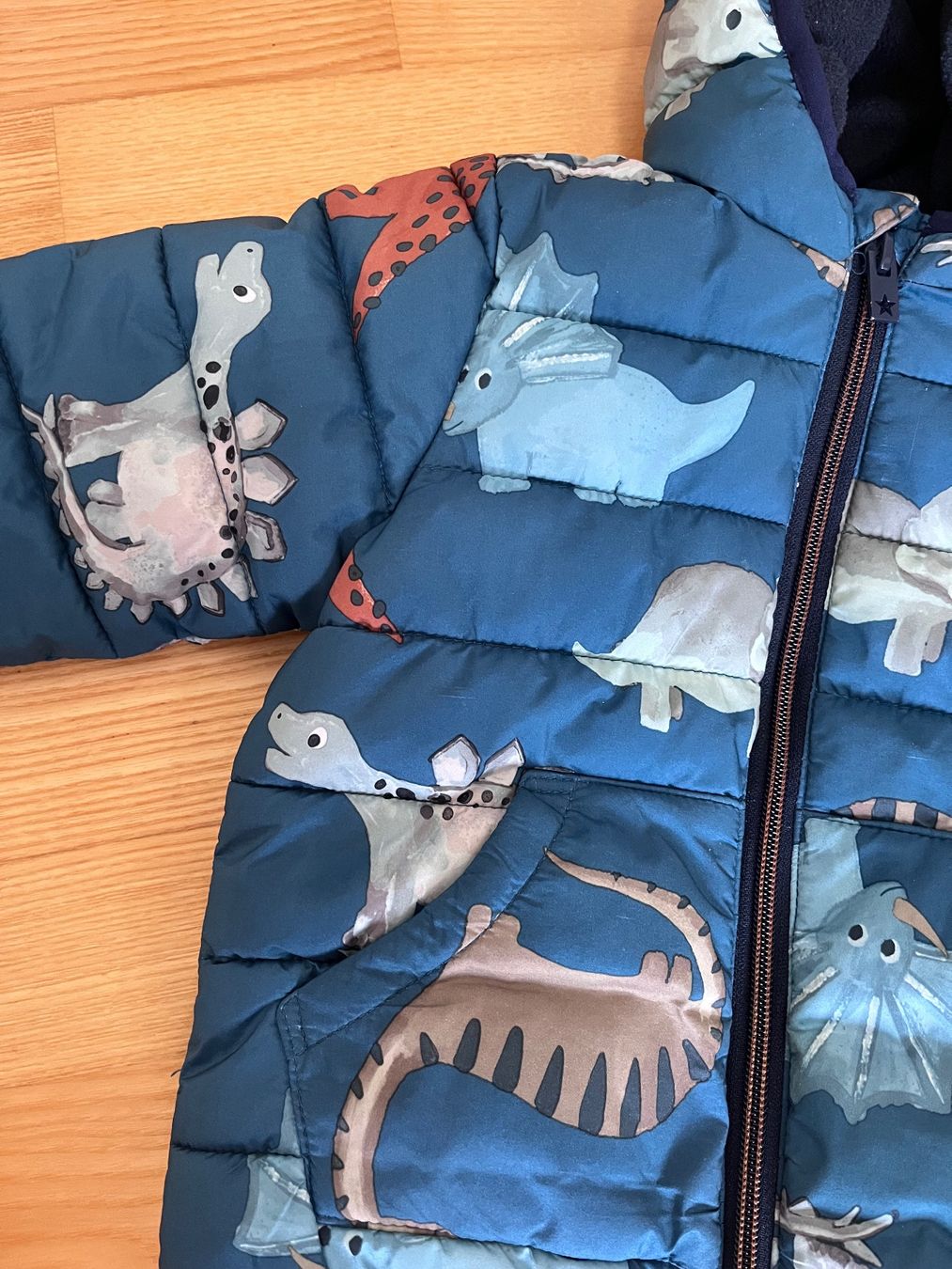 Jacken & Mäntel: Süsse Dino-Jacke in Grösse 80 – Gebraucht aus Riedholz von Charlie_2007 2