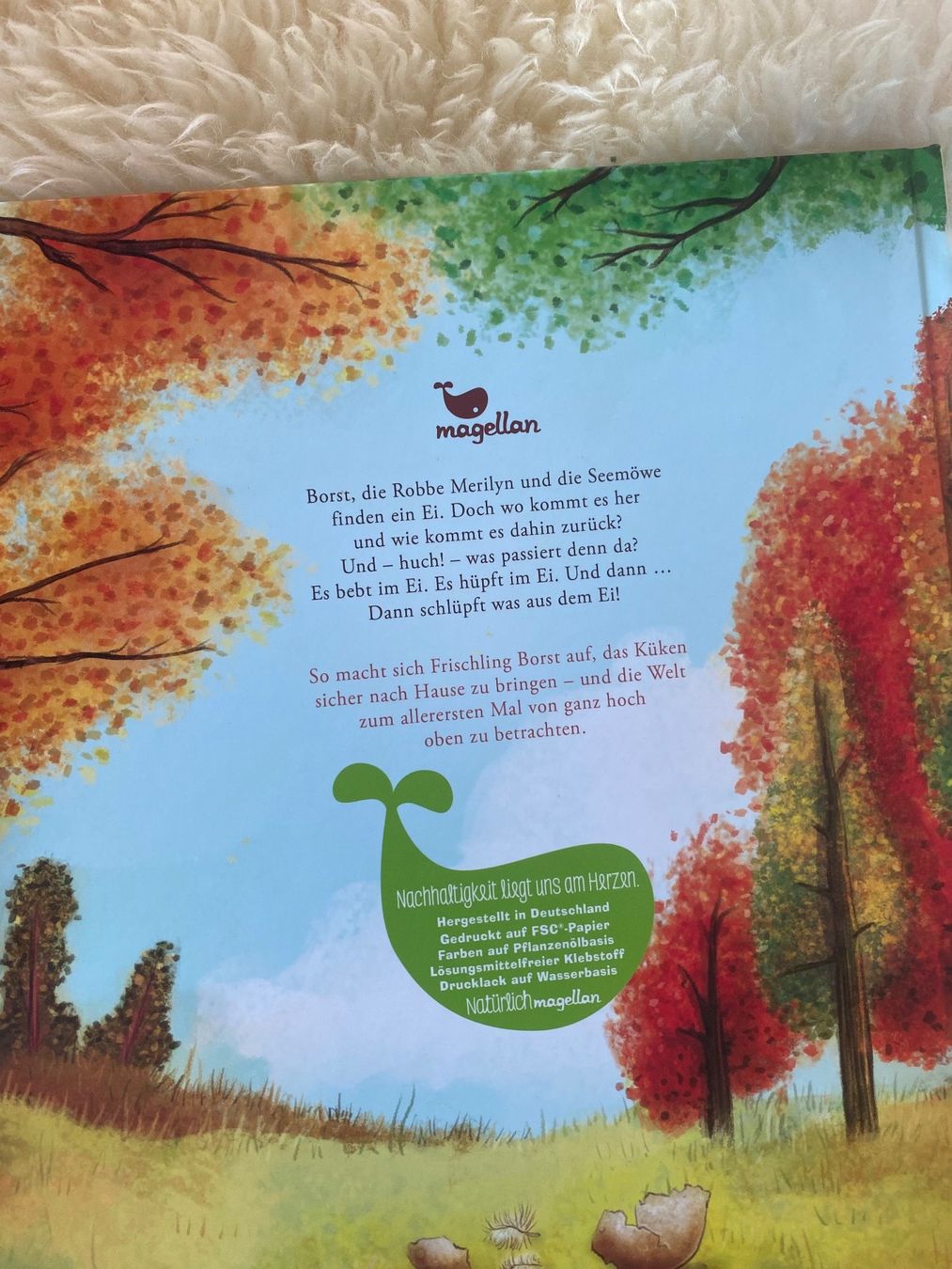 Libri: Kinderbuch Borst vom Forst – Nuovo (secondo la descrizione) da Allschwil venduto da lucifa 1