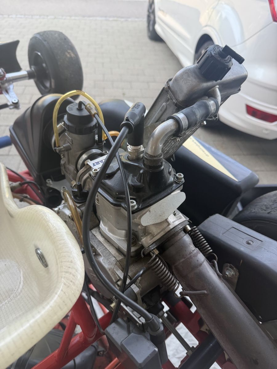 Rotax Go-Kart: Rennkart Rotax  – Usato da Waltenschwil venduto da Almilu 2