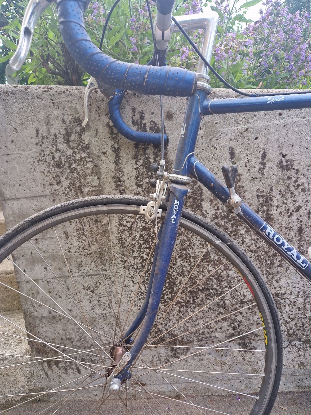 Vélos: Altes Rennvelo – D'occasion à Baden par georges5442 5