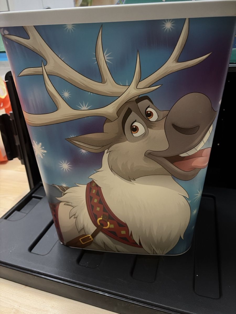 Disney Tutte le decorazioni: Gebrauchter Frozen Eimer – Usato da Granges-Paccot venduto da Fwaeber 2