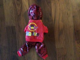 Hundebekleidung und Accessoires / Yorkshire Terrier Mini
