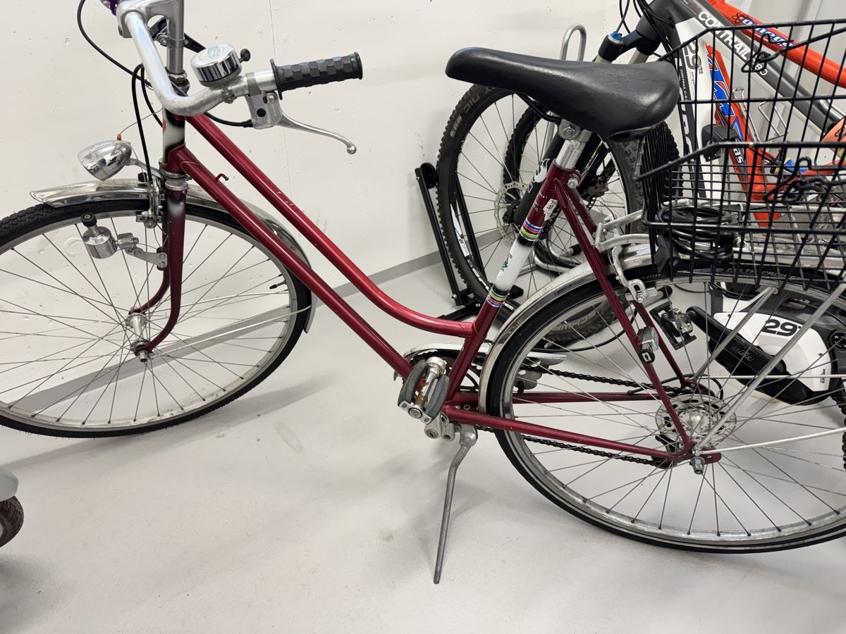 drehmomentschlüssel fahrrad 2-24 Set Nm, Multifunktionales Reparaturwe – ROCKBROS-DE best ebikes amazon Edition:Familien-Edition Focus Sam² 6.8 e-mountain