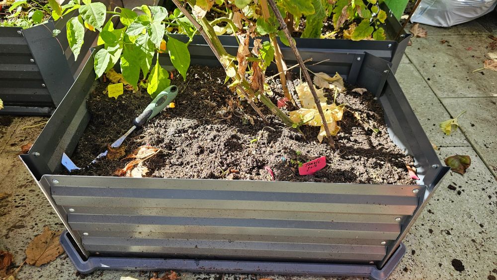 2 Stück Gemüse Blumenkästen Töpfe Hochbeet Aldi mit Erde Kaufen auf
