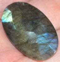 Cabochon L-5817– Facettierter Labradorit 32x20mm 37,40 Karat