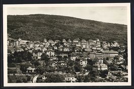 AK Neuchatel, Teilansicht der Ortschaft