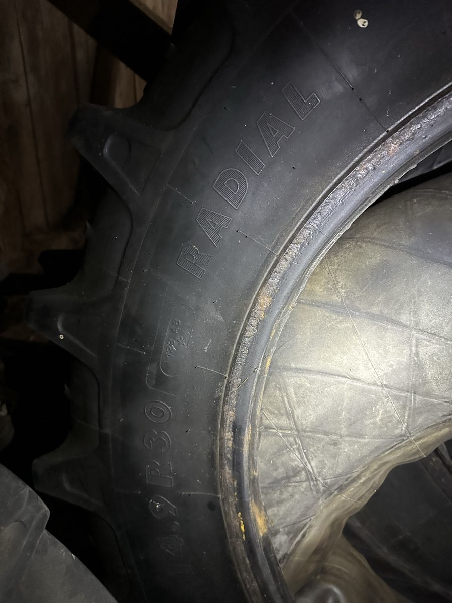 Pneumatici & Ruote complete: Reifen 14.9 R 30 – Usato da Pohlern venduto da lev_25gk 5