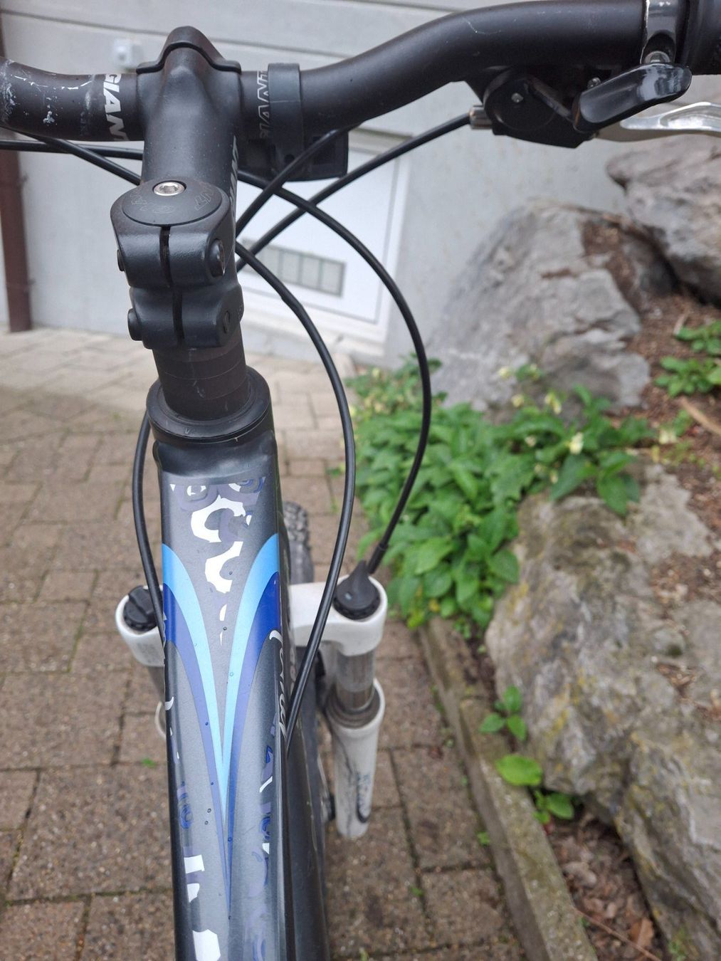 Biciclette: Fahrrad - Giant revel 2 – Usato da Rickenbach b. Wil venduto da jul_2vsk 1
