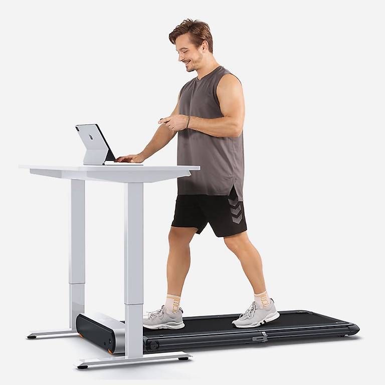 Hometrainer: King Smith WalkingPad – Usato da Basel venduto da ann_cq59 1