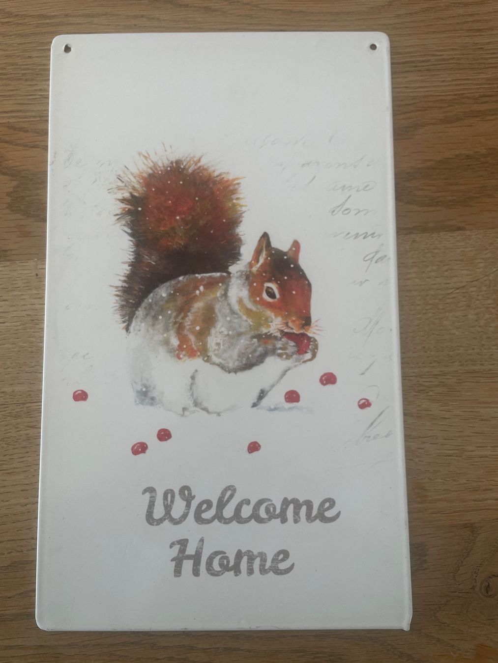 Insegne: Blechschild Eichhörnchen – Usato da Bellach venduto da cosmoderm