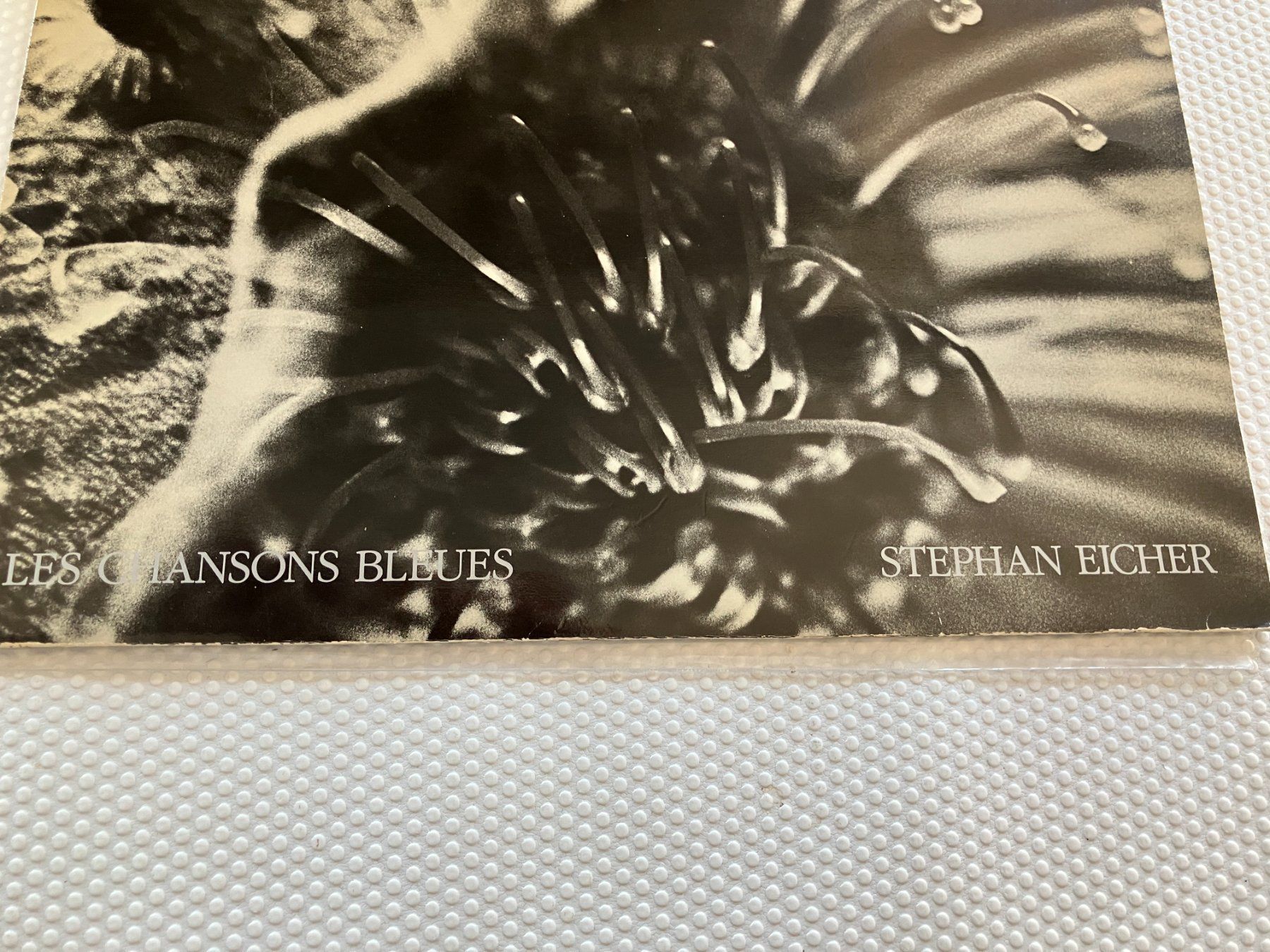 Dischi in vinile: Stephan Eicher – Usato da Aarwangen venduto da Jukebox3 1