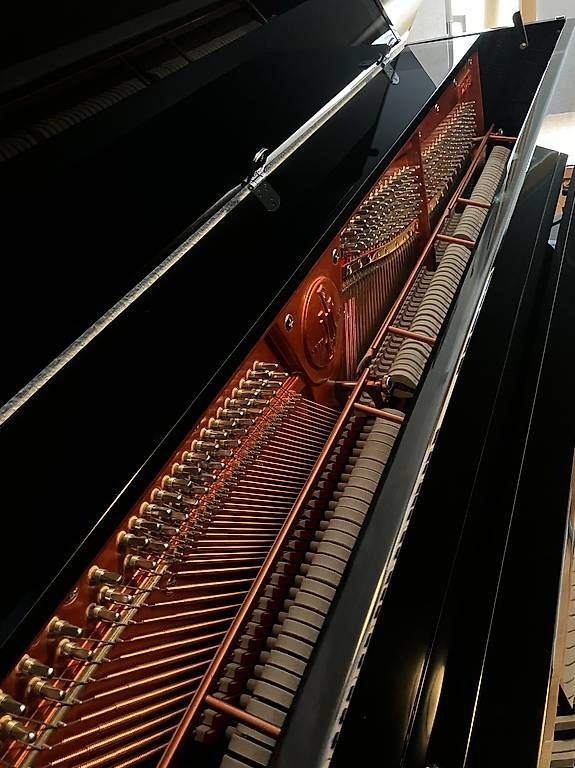 Feurich Strumenti musicali: Feurich Klavier – Usato da Elfingen venduto da inf_m7fb 4