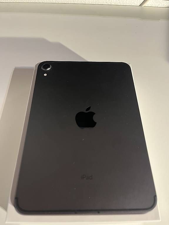 Tablet PC: Vendo Ipad mini Wi-fi e 5G con Apple pencil  – Usato da Vairano venduto da RegazziSascha 1