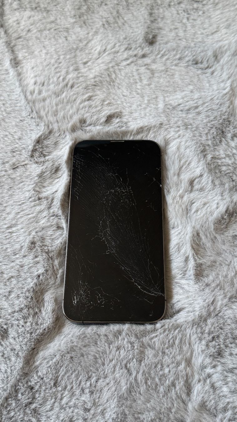 Apple Portables: iPhone 13 Pro, 256 GB, Graphite – D'occasion à Lupfig par Sleidron 1