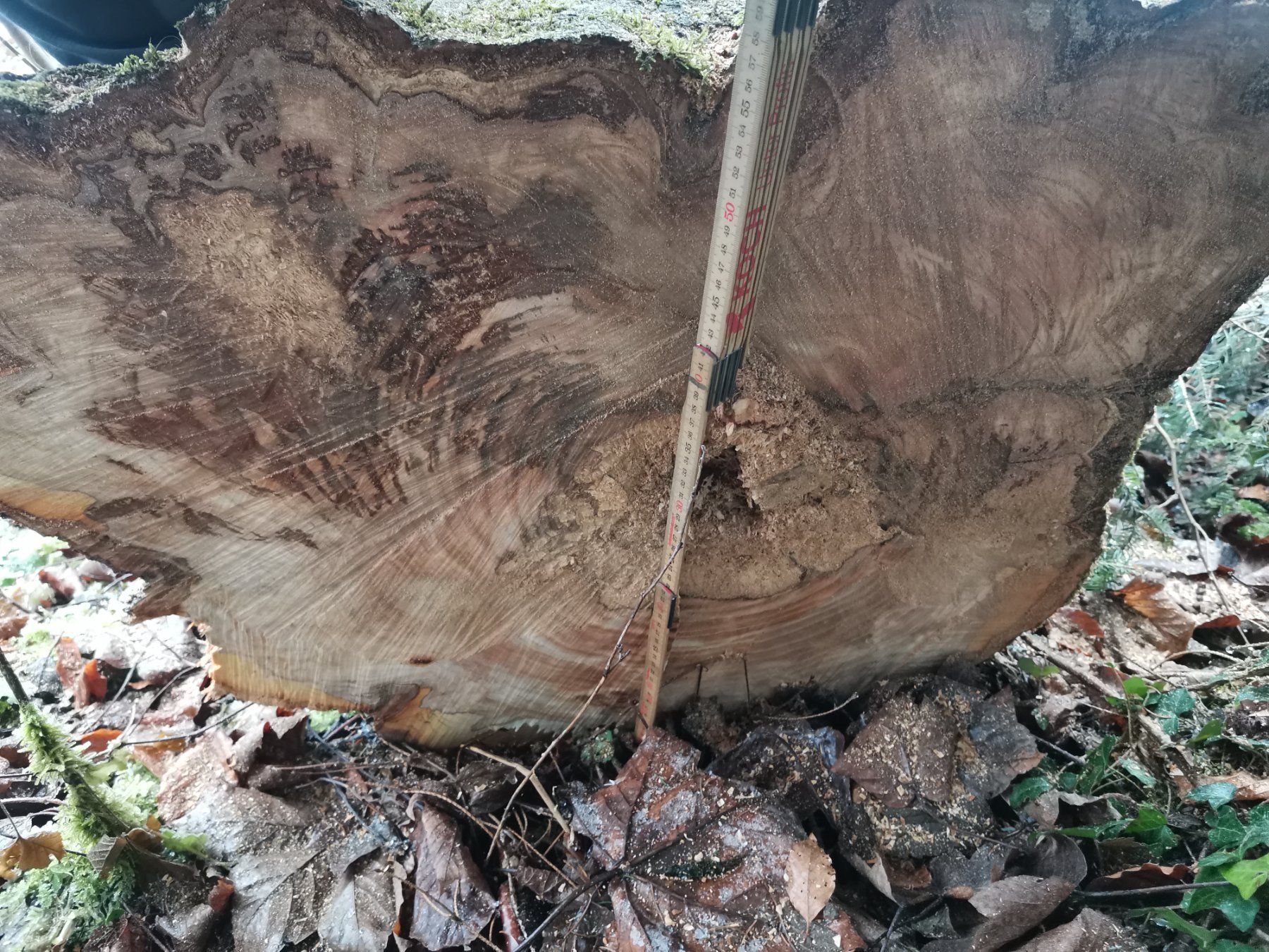 Articoli in legno: Schöner Kirschenbaumstamm Schweizerholz – Usato da Schenkon venduto da Steyr30 2