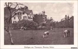 Därligen BE // Pension Schärz 1925 // Thunersee