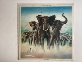 Elvis Costello LP - Armed Forces