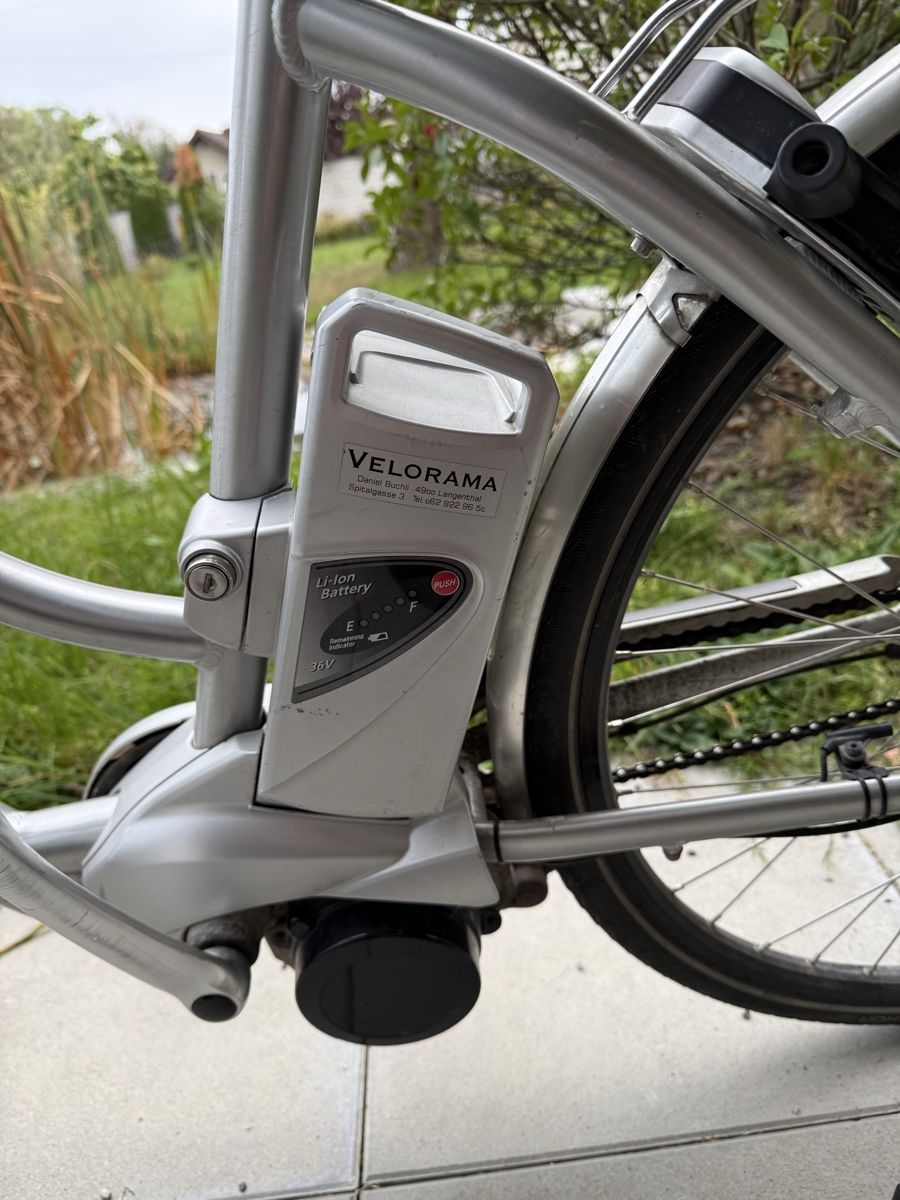 Flyer Biciclette: E-Bike Flyer  – Usato da Langenthal venduto da Nina_Leonie 4