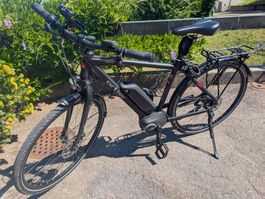 E-bike City/Trekking - Bosh ActiveLine / 300Wh / Federung