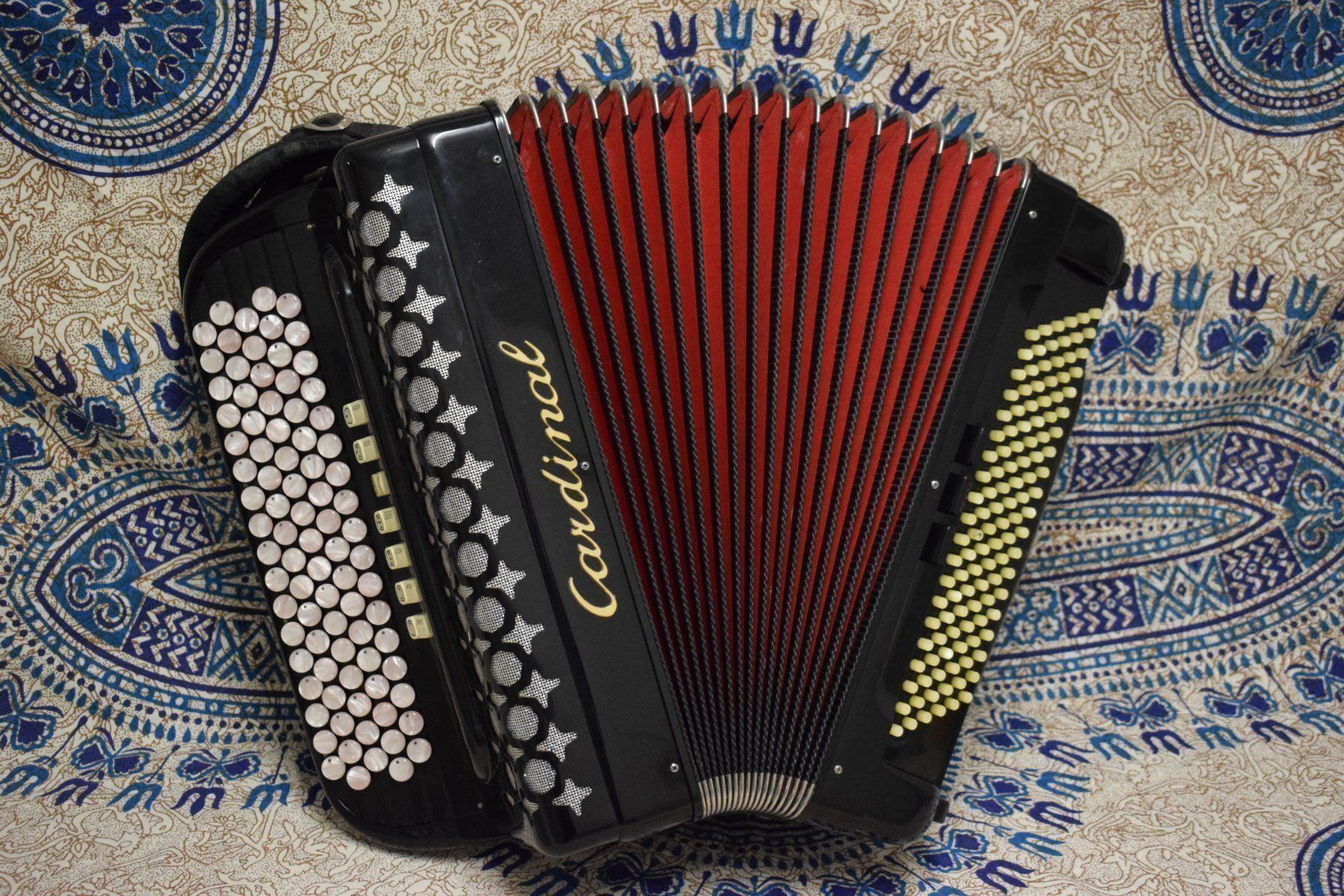 Strumenti musicali: Akkordeon chromatisch Cardinal – Usato da Zürich venduto da baumusik 5
