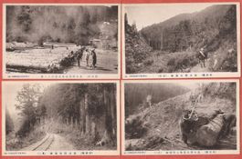 Japan Holzabbau Forstwirtschaft - 11AK's in Papierhülle 1924