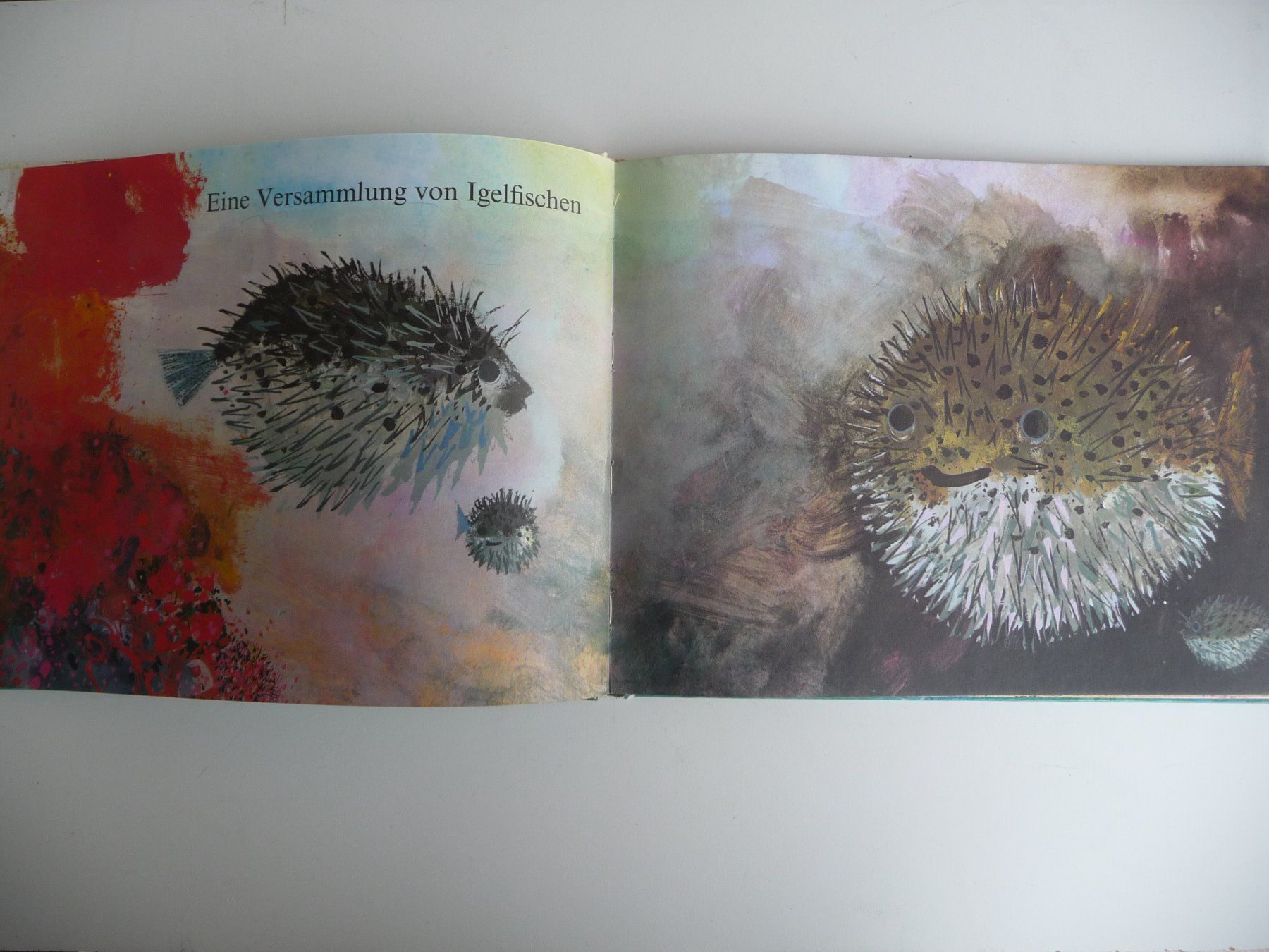Libri: BRIAN WILDSMITH - FISCHE, ANTIKES KINDERBUCH – Usato da Aesch BL venduto da Imoonlight 2