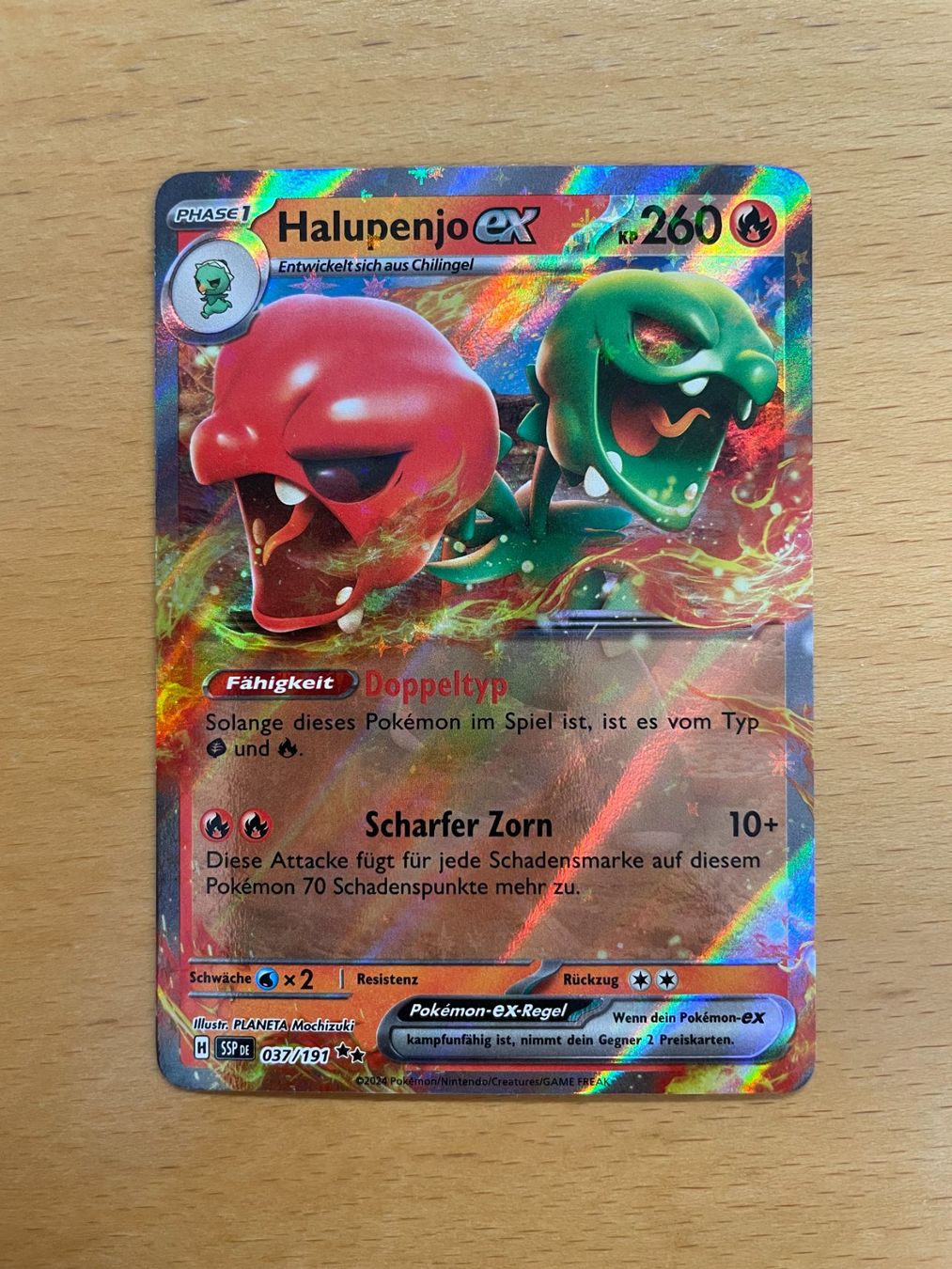 Pokémon Carte collezionabili: Pokemon Halupenjo (Versand gratis) – Nuovo (secondo la descrizione) da Chur venduto da Angerson