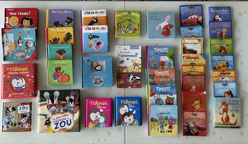 SERRE LIVRES OU Présentoir en Plexiglax transparent Format 28 X 41 cm EUR 22,00 - FR