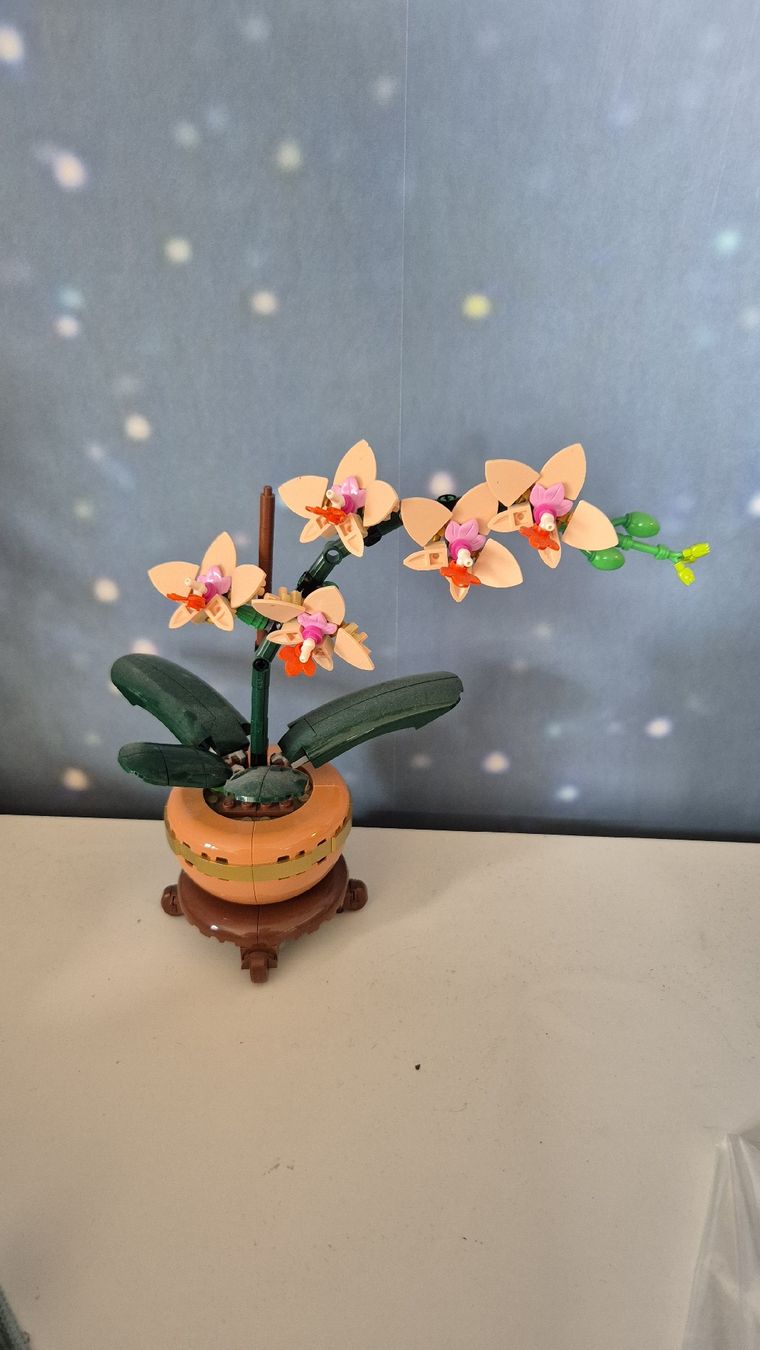 Lego Baukästen: Fleurs LEGO – Gebraucht aus Vérossaz von meg_8tjs 1
