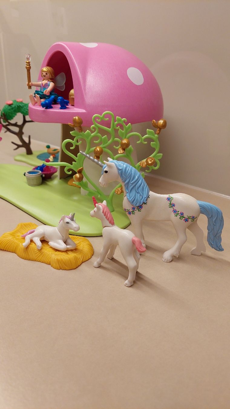 Playmobil Giocattoli: Playmobil Feenwäldchen mit Einhornpflege 6055 – Usato da Wisen SO venduto da Shopoholiker 2