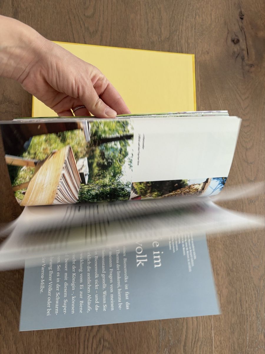 Libri: Imkern Buch – Nuovo (secondo la descrizione) da Ebikon venduto da ala_ycz5 2