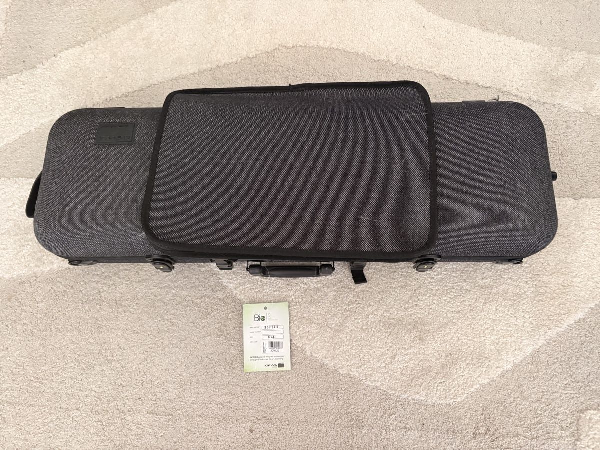 Musikinstrumente: GEWA Maestro 2 Violine 4/4 – Neu (gemäss Beschreibung) aus Schaffhausen von laraisabeeel 2