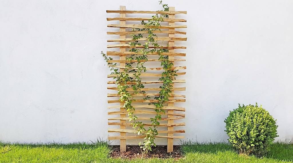 Altre Decorazioni per giardino: Rankhilfe aus Haselnuss – Nuovo e nell'imballaggio originale da Thunstetten venduto da chriguoester