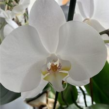 Profile image of Angi1997