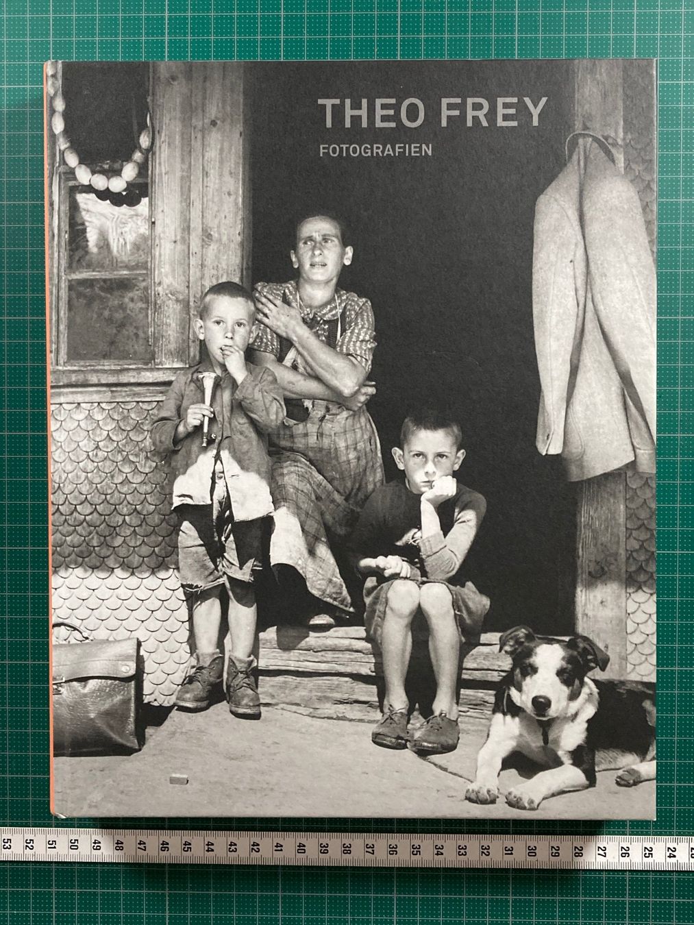 Libri: Theo Frei - Fotografien – Usato da Lenzburg venduto da fh1