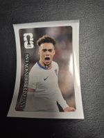 Cola Panini Antonee Robinson