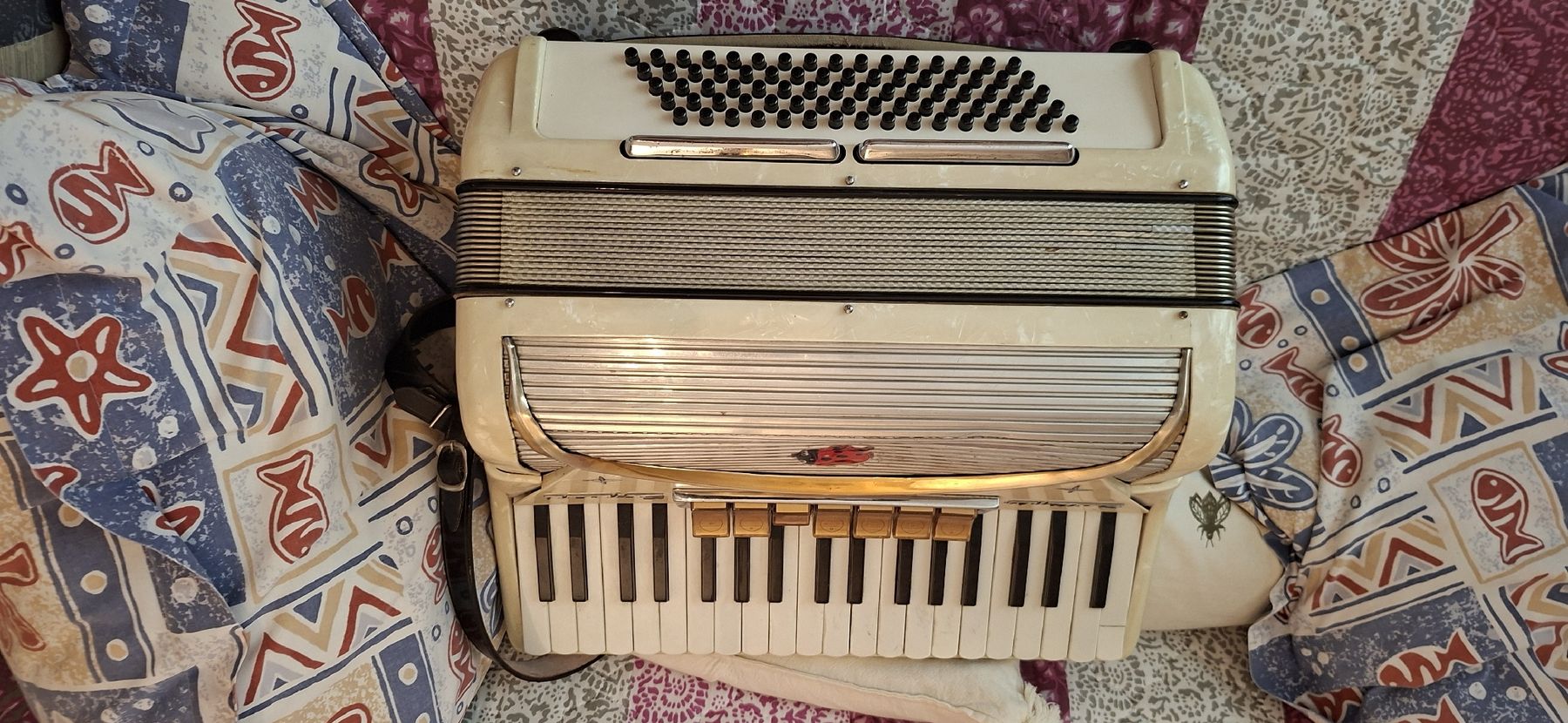 Musikinstrumente: Handorgel – Gebraucht aus Uster von Floda 1