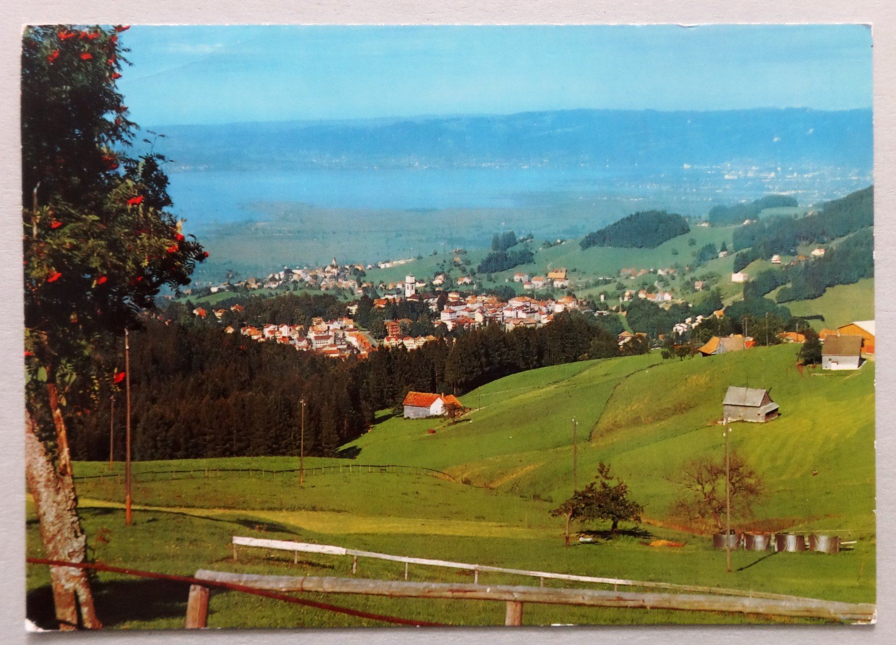 Cartes postales: Klimakurort Heiden AR, 810 m ü.M. – D'occasion à Fétigny par Billy2miny