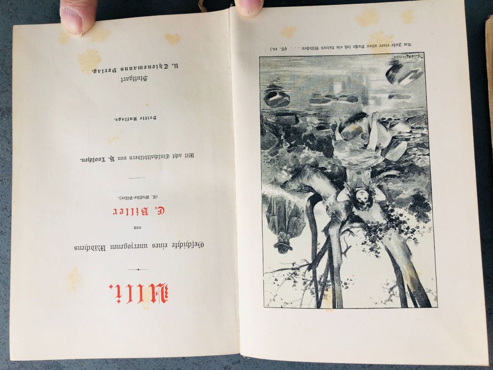 Livres: Set antike Bücher (Jahrhunderwende) – D'occasion à Berneck par BerniBenz 3