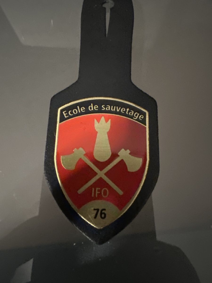 Armée suisse Plaquettes & Badges: Armee – D'occasion à Morbio Inferiore par Ecod