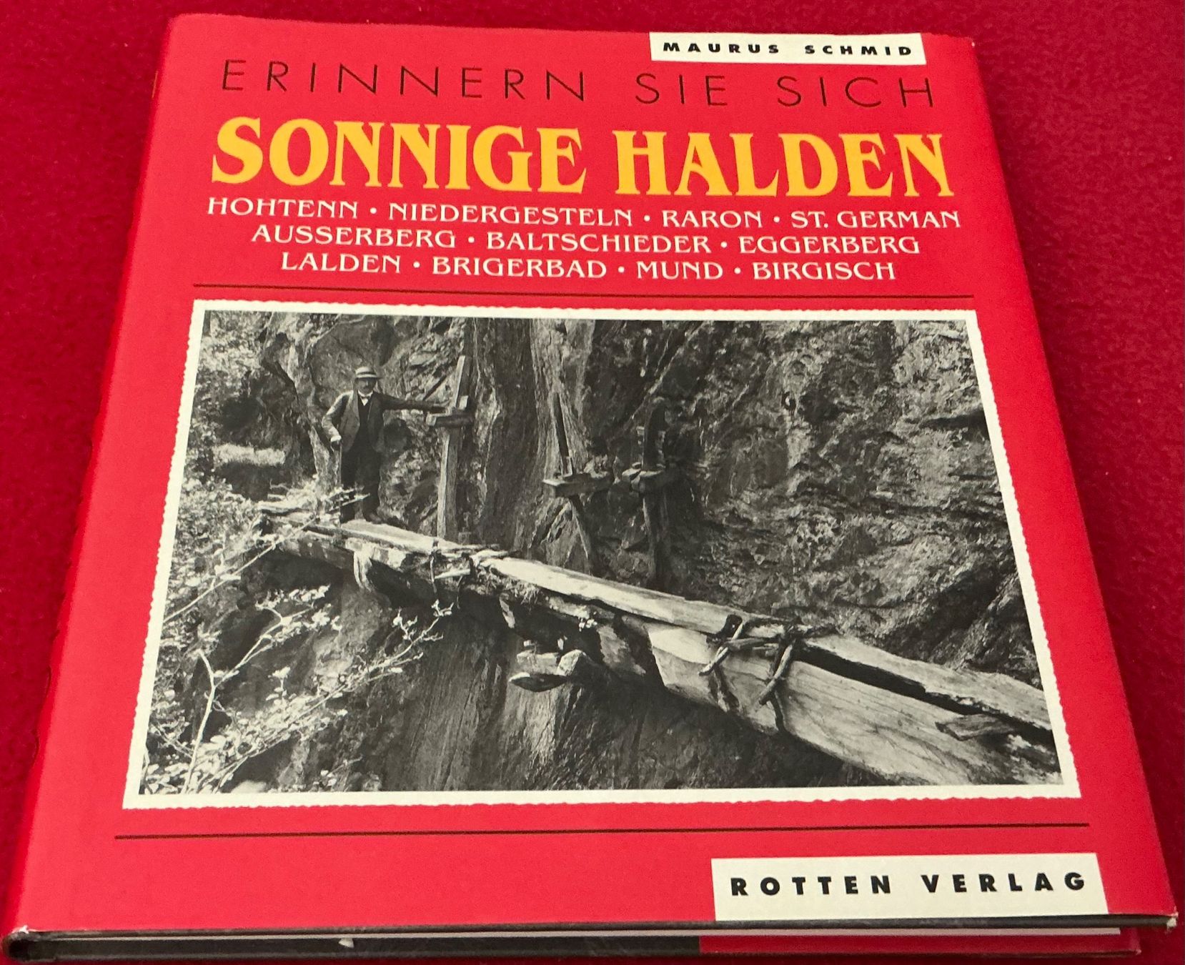 Libri: Erinnern Sie Sich Sonnige Halden -Maurus Schmid – Usato da Crans-Montana venduto da plainemorte