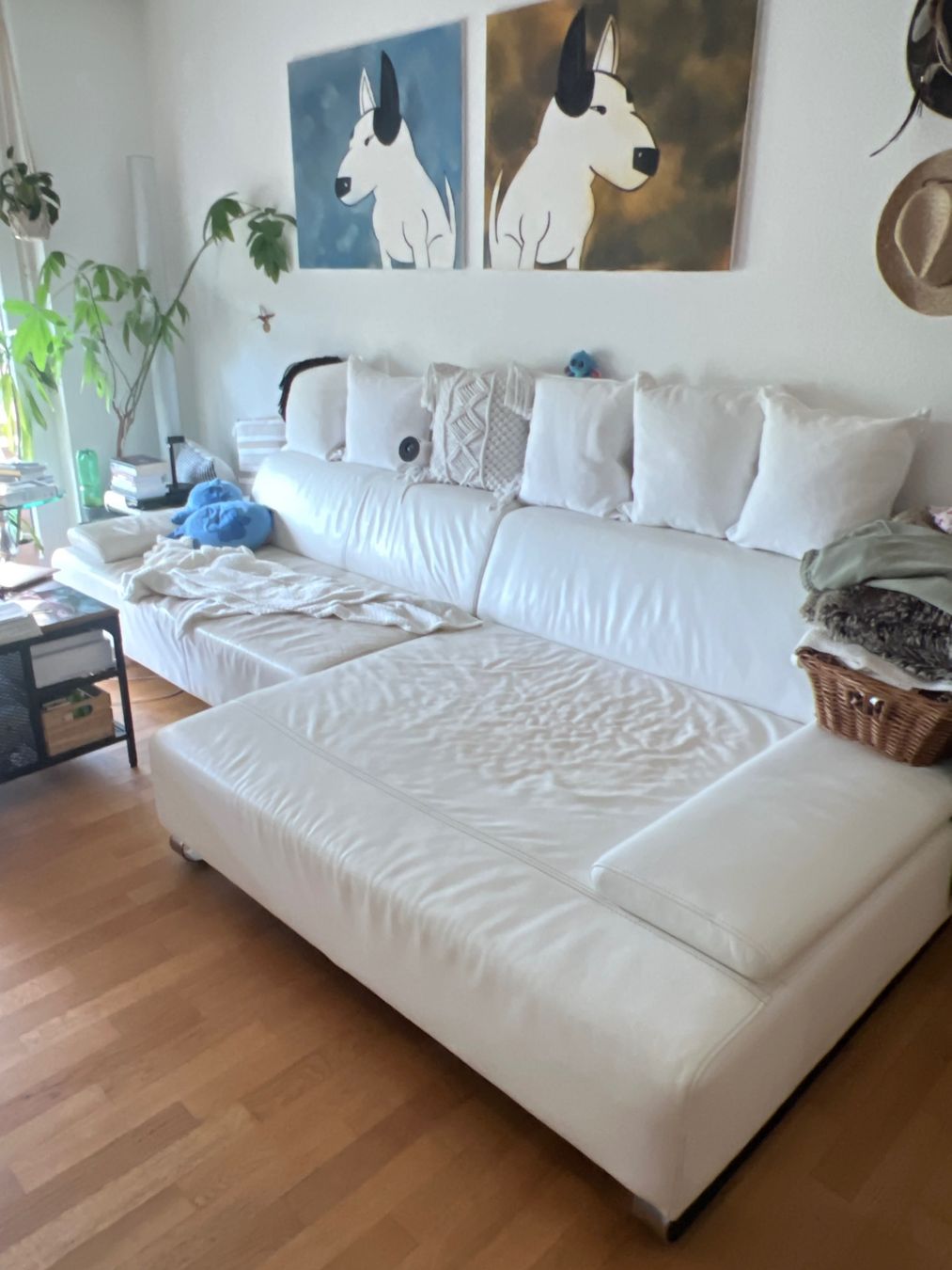 Pfister Sofas: Leder Sofa (echt Leder in weiss) – Gebraucht aus Dübendorf von Andreoli1