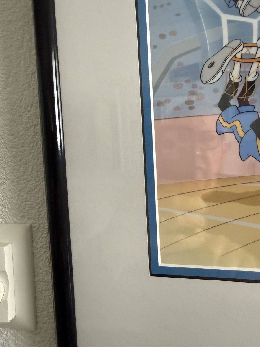 Foto & Immagini: Disney SLAM DUNK WITH FAB FIVE cel limitiert – Usato da Affoltern am Albis venduto da Birdy8910 5