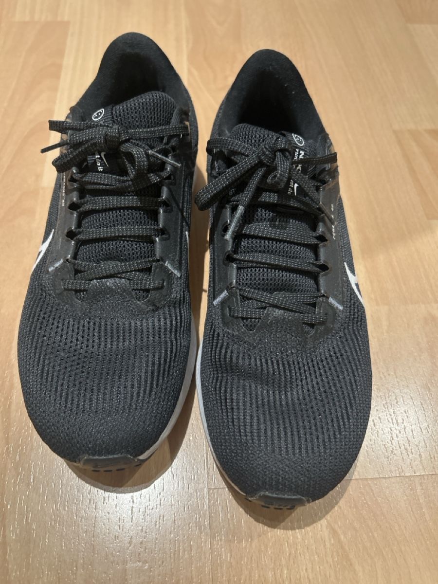 Nike Scarpe da uomo: Nike pegasus 40 – Usato da Zürich venduto da pil_9sh9 1